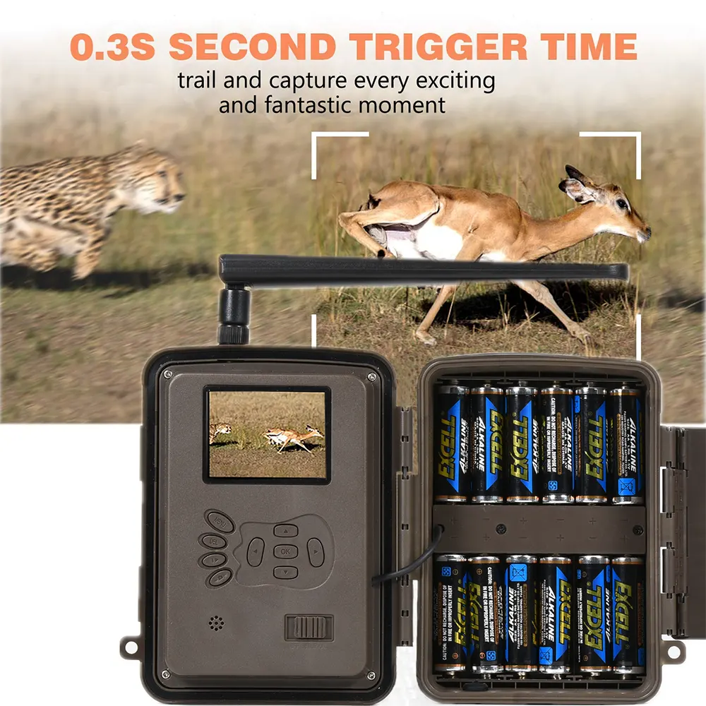 Hunting Trail Camera